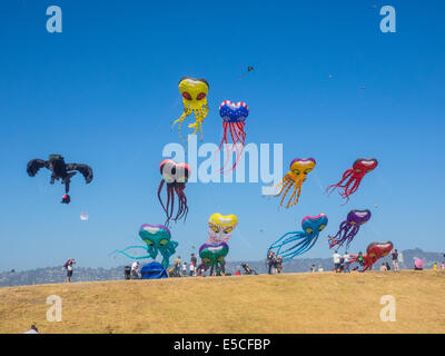 BERKELEY, CA/USA - Le 26 juillet 2014 : Des centaines de cerfs-volants de toutes tailles sont pilotés par des amateurs et professionnels à Cezar Chavez moy Park Banque D'Images