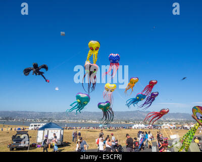 BERKELEY, CA/USA - Le 26 juillet 2014 : Des centaines de cerfs-volants de toutes tailles sont pilotés par des amateurs et professionnels à Cezar Chavez moy Park Banque D'Images