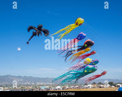 BERKELEY, CA/USA - Le 26 juillet 2014 : Des centaines de cerfs-volants de toutes tailles sont pilotés par des amateurs et professionnels à Cezar Chavez moy Park Banque D'Images