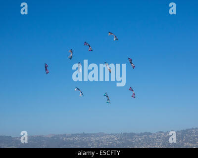 BERKELEY, CA/USA - Le 26 juillet 2014 : Des centaines de cerfs-volants de toutes tailles sont pilotés par des amateurs et professionnels à Cezar Chavez moy Park Banque D'Images