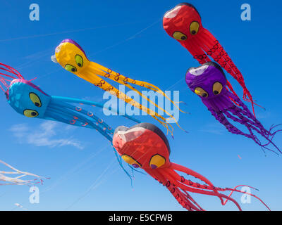 BERKELEY, CA/USA - Le 26 juillet 2014 : Des centaines de cerfs-volants de toutes tailles sont pilotés par des amateurs et professionnels à Cezar Chavez moy Park Banque D'Images