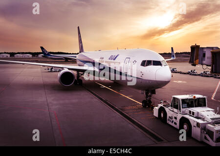 Air Japan ANA avion à l'aéroport international de Narita au coucher du soleil. Le Japon. Banque D'Images
