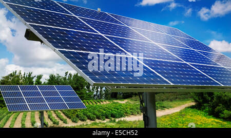 Panneaux solaires avec du soleil trackers utilisés comme source d'énergie dans une ferme de Milton, Ontario, Canada. Banque D'Images