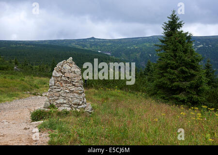 Navrsi Pancava pré, Zlate Pancava, Cascade, parc national de Krkonose, Giant Mountains National Park, République Tchèque Banque D'Images