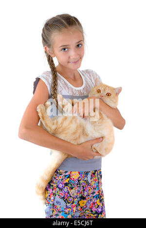 La jeune fille avec un chat roux de la race Scottish-droites sont photographiés sur le fond blanc Banque D'Images