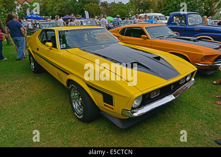 Ford Mustang Banque D'Images