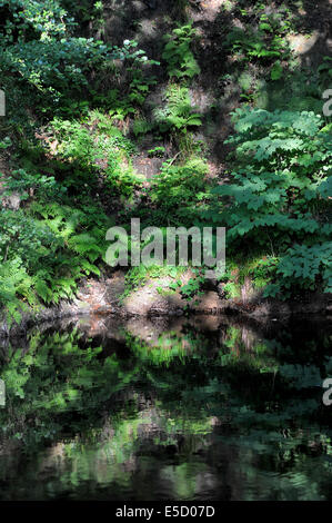 Adit sur river règne dans la Teign Valley,Ashton.Géologie de la Teign Valley,parcelles pour l'arsenic, cuivre, plomb et zinc dans Banque D'Images