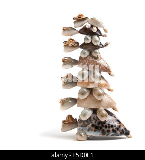 Tortue souvenir isolé sur fond blanc Banque D'Images