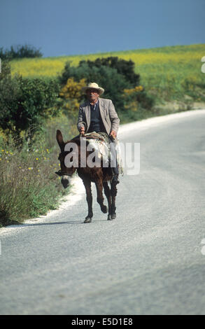 Grèce, Macédoine, vieux fermier sur Donkey. Banque D'Images