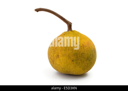 Santol fruits Banque D'Images