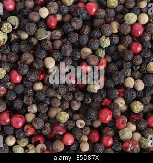 Poivre et épices poivre comme arrière-plan un symbole pour l'assaisonnement alimentaire avec des ingrédients dans la cuisine chaude spicey préparation et la cuisine végétarienne. Banque D'Images