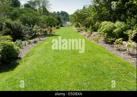 Pelouse en pente depuis longtemps dans les jardins d'Aberglasney House Galle Carmarthenshire Banque D'Images