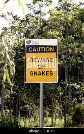 Inscrivez-vous méfiez-vous des serpents à une aire de repos au bord de la New England Hwy, NSW Australie du nord Banque D'Images