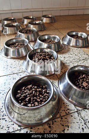 Les aliments secs pour chiens avec bols Banque D'Images