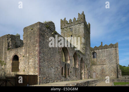 Ruines de l'abbaye de Tintern, comté de Wexford, Irlande Banque D'Images