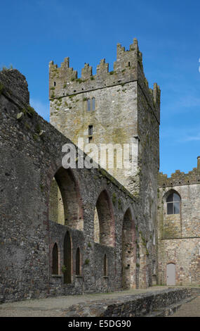 Ruines de l'abbaye de Tintern, comté de Wexford, Irlande Banque D'Images