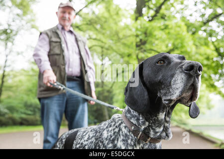 Hauts homme marchant avec son Braque allemand à city park Banque D'Images