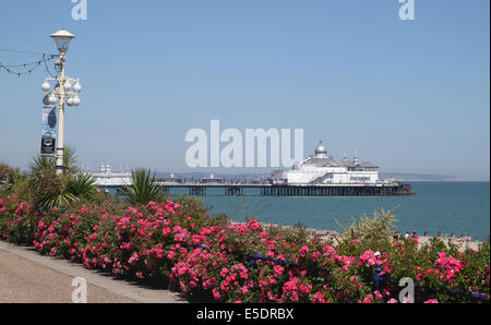 Eastbourne Pier view from South Downs Way Banque D'Images