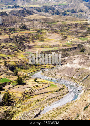 Terrasses Agricoles Dans La Vall e Du Colca Vu Depuis Le Mirador terrasses-agricoles-dans-la-vall-e-du-colca-vu-depuis-le-mirador