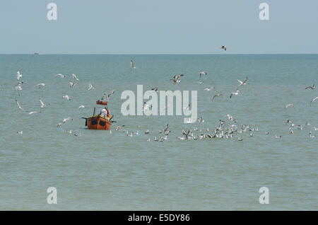Petit bateau de pêche avec flock of seagulls autour d'elle. Sur Mer au large de la plage de Worthing. West Sussex. L'Angleterre Banque D'Images