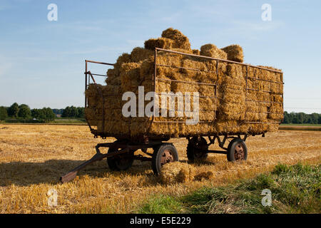 Strohballen Strohwagen Ernte ernten Stroh Ballen Wagen Trecker Traktor Landmaschine Landmaschinen Transports Strasse Feld Weizen Banque D'Images