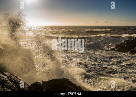 Vagues, Stokksnes, par Hofn Hornafjordur, et l'Islande Banque D'Images