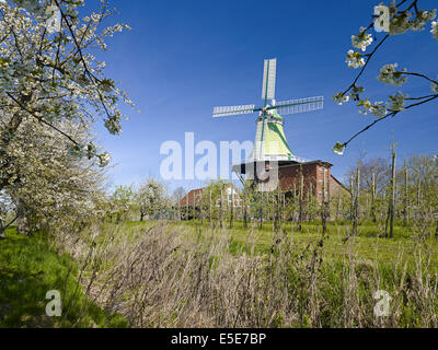 Moulin à vent Twielenfleth-Luehe Venti Amica en Basse-Saxe, Allemagne Banque D'Images