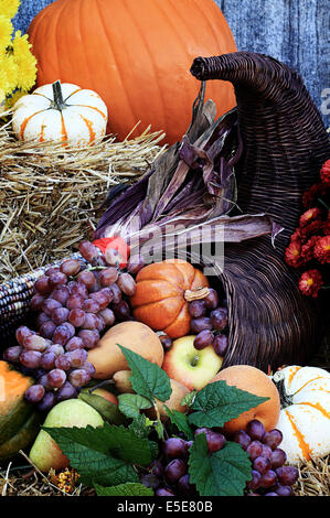 Cornucopia ou corne d'Abondance Banque D'Images