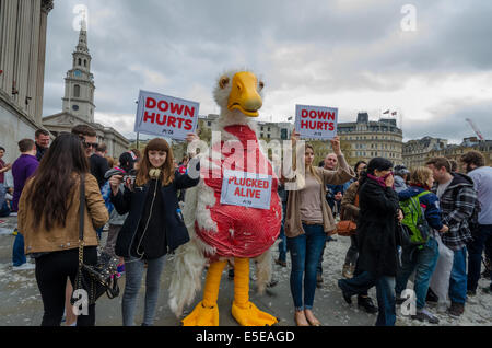 Les militants de PETA tenir protestation à Pillow Fight à Trafalgar Square Banque D'Images