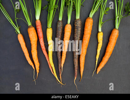 Un tas de Patrimoine biologique ou Heirloom Carrots Banque D'Images