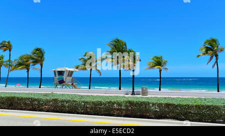 Sunrise Beach à Ft.Lauderdale avec palmiers et la plage d'entrée. Banque D'Images