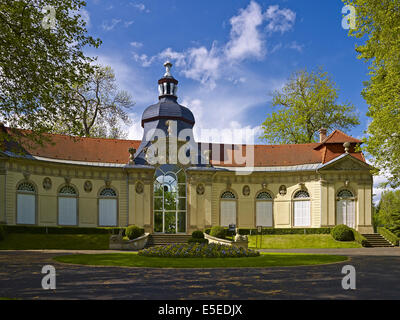 Dans l'orangerie du parc de Seckendorff renvoi Meuselwitz, Thuringe, Allemagne Banque D'Images