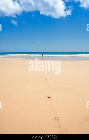 Figure dans un paysage. Une jeune femme sur une plage tropicale déserte sur l'île Fernando de Noronha au Brésil Banque D'Images