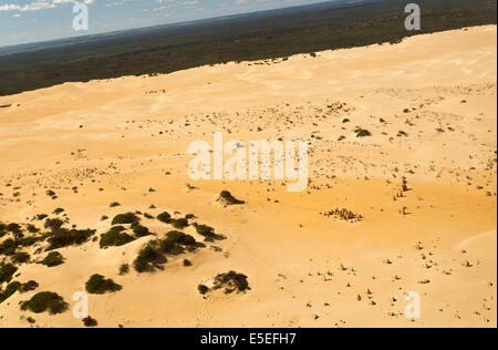 Vue aérienne du Désert des Pinnacles en Australie occidentale Banque D'Images