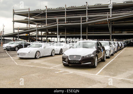SOUTHAMPTON, UK 31 MAI 2014 : Rangées de Jaguar nouvellement construit des voitures garées à Southampton docks avant d'être exportées. Banque D'Images