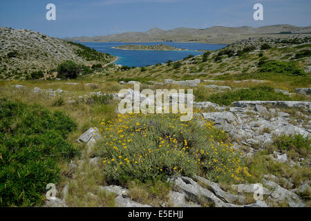 Vue depuis l'île de Levrnaka sur les îles Kornati, Mer Adriatique, Iles Kornati, Parc National de la Croatie Banque D'Images