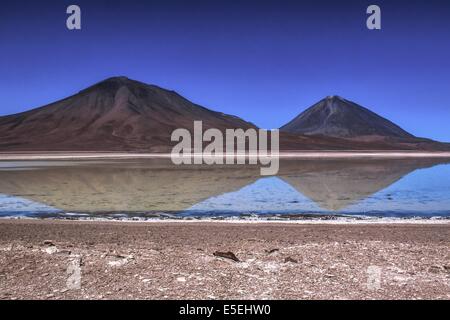 Laguna Blanca, Atacama Desert, Chile Banque D'Images