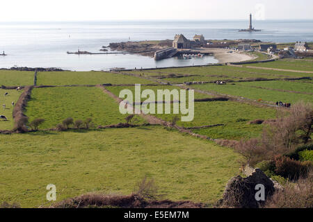 France, Basse Normandie, manche, cotentin, Cap de la haye, goury, phare de goury, raz blanchard, champs, agriculture, panorama, pêches normandes, port, Banque D'Images