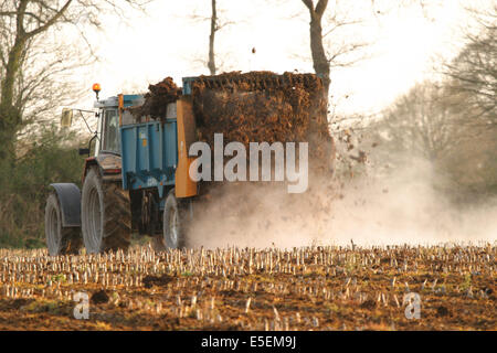 France : Normandie, agriculture, tracteur, champ, épiâge de fumier, engrais, Banque D'Images