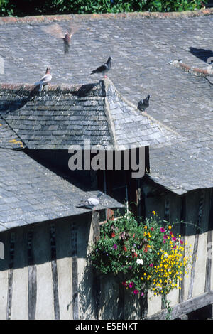 France, Bretagne, Morbihan, Vannes, golfe du Morbihan, détail des anciens lavoirs, lucarnes, ardoise, fleurs, Banque D'Images