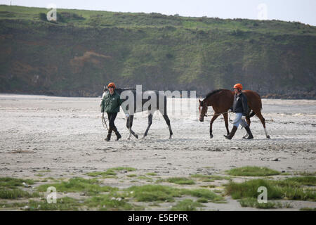 France, Bretagne, côtes d'armure, baie de saint brieuc, Hillion, baie de saint brieuc, maree basse, chevaux a l'entrainement, cavliers les locataires par la mariée, Banque D'Images