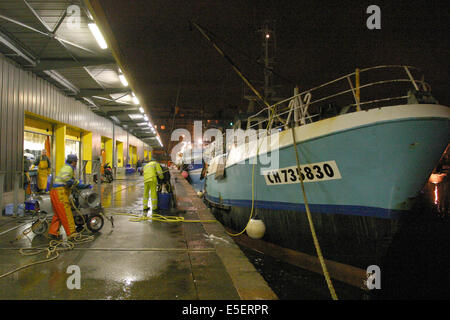 France, Basse Normandie, manche, cotentin, cherbourg, bassin du commerce, centre de maree, ébavale de nuit d'un chalutier a quai, lumières de la ville, Banque D'Images