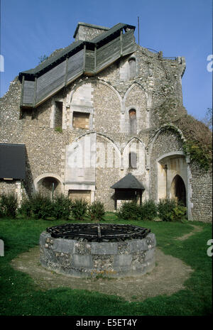 France, Haute-Normandie, seine maritime, vallée de la seine, moulineaux, Château de robert le diable, Château fort, duc de Normandie, vestige, forteresse, ruine, vikings, Banque D'Images