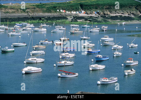 France, Bretagne, finistère nord, côtes des abers, le conquet, port, bateaux de plaisance, Banque D'Images