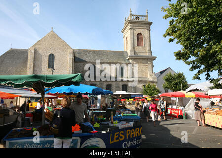 France, Bretagne, Morbihan, golfe du Morbihan, presqu'ile de rhuys, saint gildas de rhuys abbelegale, marche, Banque D'Images