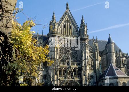 France, région picardie, oise, senlis, cathédrale notre dame, édifice religieux, visites, parvis, ville médias, arbre, automne, Banque D'Images