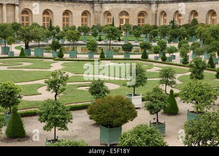 France, ile de france, yvelines, Versailles, château, jardins, orangerie, arbres, Banque D'Images