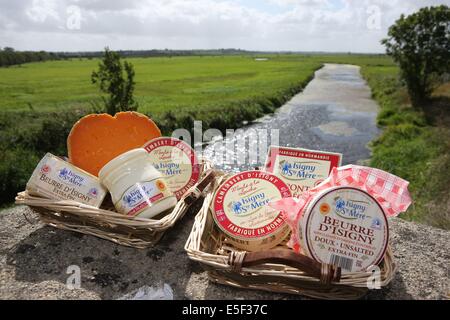 France, Basse Normandie, calvados, parc des marais du cotentin et du bessin, produits de la coopérative laïtie d'isigny, mage, beurre, crème, mimolette, dans l'herbe, saint germain du pert, Banque D'Images