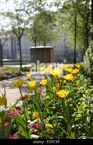 France, ile de france, paris, Paris, arrondissement 20-e, rue michel de bourges, carré d'Or, jardin public, fleurs, simone signoret, jacques becker, film, Banque D'Images