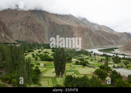 Turtuk est un petit village de la vallée de Nubra, près de la frontière avec le Pakistan. Banque D'Images